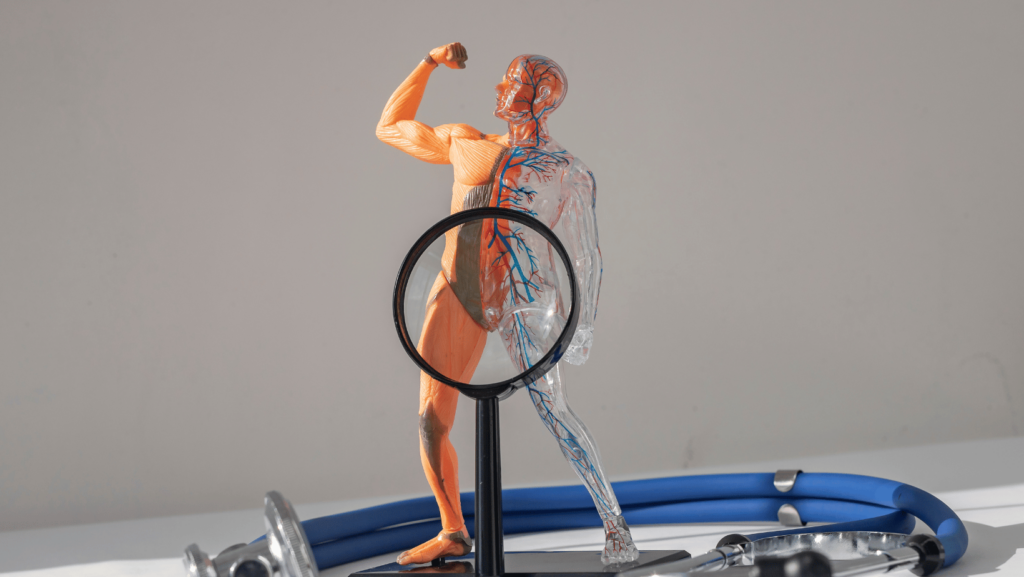 اسباب ضعف الانتصاب