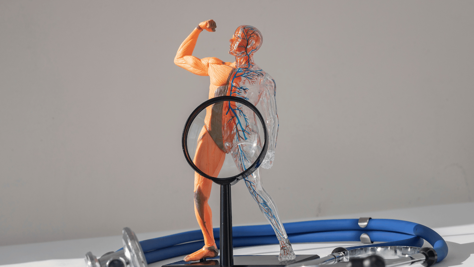 اسباب ضعف الانتصاب وطرق علاجة